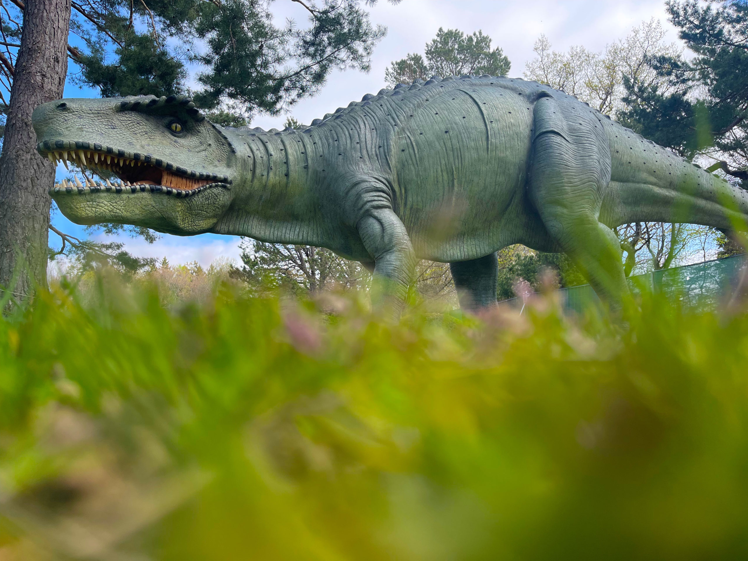 DinoWorld  Venez visiter la plus impressionnante exposition de dinosaures  en Suisse !
