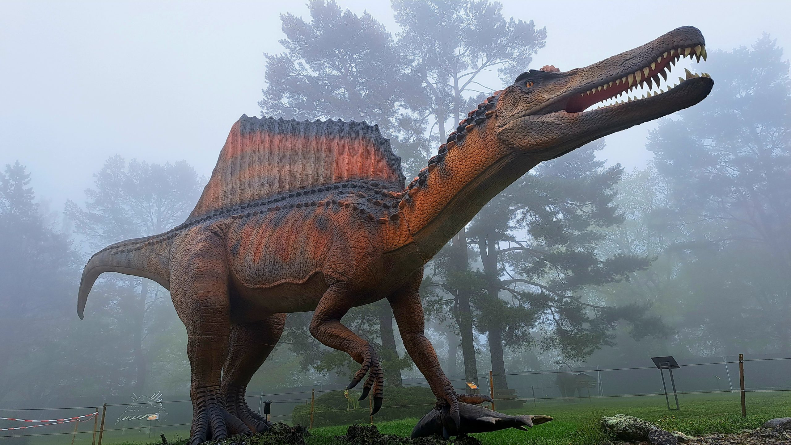 DinoWorld  Venez visiter la plus impressionnante exposition de dinosaures  en Suisse !